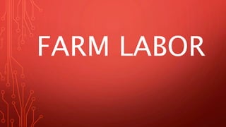 FARM LABOR
 