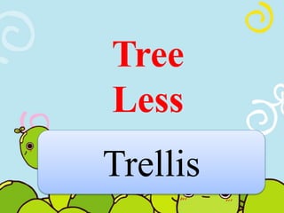 Tree 
Less 
Trellis 
 