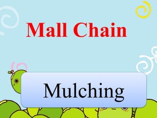 Mall Chain 
Mulching 
 