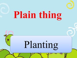 Plain thing 
Planting 
 