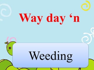 Way day ‘n 
Weeding 
 