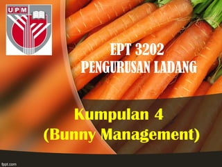 Kumpulan 4
(Bunny Management)
EPT 3202
PENGURUSAN LADANG
 