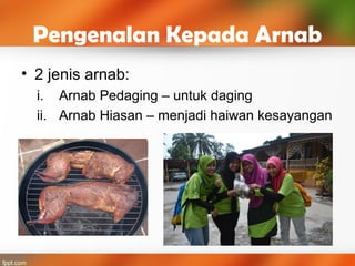 Pengenalan Kepada Arnab
• 2 jenis arnab:
i. Arnab Pedaging – untuk daging
ii. Arnab Hiasan – menjadi haiwan kesayangan
 