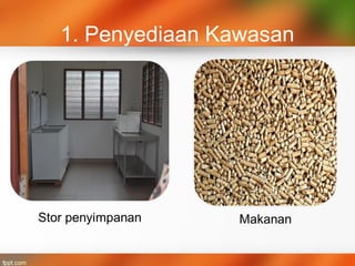 1. Penyediaan Kawasan
 