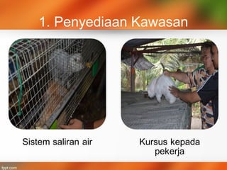 1. Penyediaan Kawasan
 
