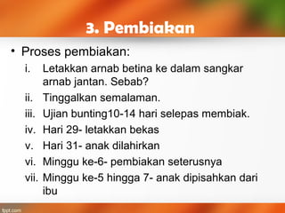 3. Pembiakan
• Proses pembiakan:
i. Letakkan arnab betina ke dalam sangkar
arnab jantan. Sebab?
ii. Tinggalkan semalaman.
iii. Ujian bunting10-14 hari selepas membiak.
iv. Hari 29- letakkan bekas
v. Hari 31- anak dilahirkan
vi. Minggu ke-6- pembiakan seterusnya
vii. Minggu ke-5 hingga 7- anak dipisahkan dari
ibu
 