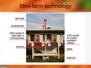 Mini-farm technology
 
