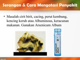 • Masalah cirit birit, cacing, perut kembung,
kencing keruh atau Albuminous, keracunan
makanan. Gunakan Arsenicum Album
Serangan & Cara Mengatasi Penyakit
 