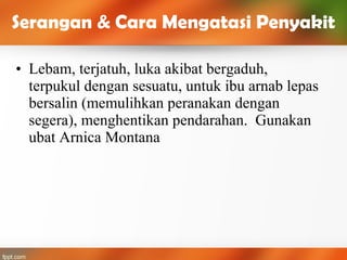 • Lebam, terjatuh, luka akibat bergaduh,
terpukul dengan sesuatu, untuk ibu arnab lepas
bersalin (memulihkan peranakan dengan
segera), menghentikan pendarahan. Gunakan
ubat Arnica Montana
Serangan & Cara Mengatasi Penyakit
 