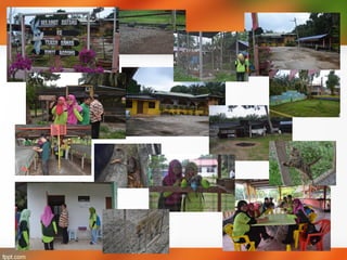 Farm management