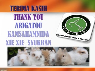 TERIMA KASIH
THANK YOU
ARIGATOU
KAMSAHAMNIDA
XIE XIE SYUKRAN
 