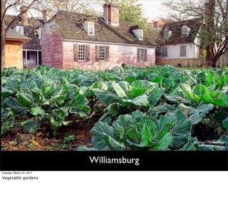 Williamsburg
Tuesday, March 22, 2011

Vegetable gardens
 