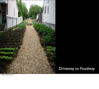 Driveway to Foodway
Tuesday, March 22, 2011
 