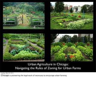 Urban Agriculture in Chicago:
                          Navigating the Rules of Zoning for Urban Farms
Tuesday, March 22, 2011

Chicago is pioneering the legal work of necessary to encourage urban farming
 