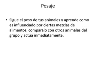 Pesaje

• Sigue el peso de tus animales y aprende como
  es influenciado por ciertas mezclas de
  alimentos, comparalo con otros animales del
  grupo y actúa inmediatamente.
 