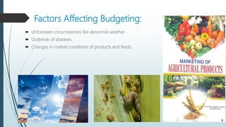 Factors Affecting Budgeting:
 Unforeseen circumstances like abnormal weather.
 Outbreak of diseases.
 Changes in market conditions of products and feeds.
 