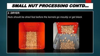 2. DRYER:
Nuts should be dried fast before the kernels go mouldy or get black.
 