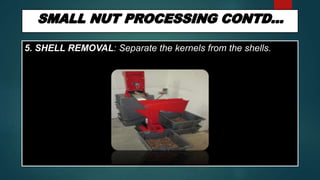 5. SHELL REMOVAL: Separate the kernels from the shells.
 
