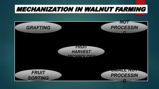 GRAFTING
FRUIT
HARVEST
TECHNOLOGY
FRUIT
SORTING
SMALL NUT
PROCESSIN
G
NUT
PROCESSIN
G
 