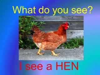 What do yousee? I see a HEN 