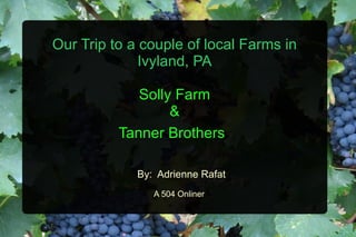 Our Trip to a couple of local Farms in Ivyland, PA Solly Farm & Tanner Brothers   By:  Adrienne Rafat A 504 Onliner 