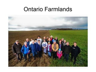 Ontario Farmlands
 