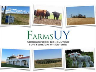 FarmsUYOur Mission & Partners
 