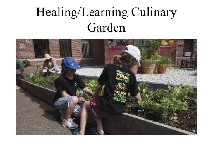 Healthy Food Hospitals Initiative Healthy Food Hospitals Initiative