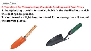 Lesson Proper
E. Tools Used for Transplanting Vegetable Seedlings and Fruit Trees
1. Transplanting trowel - for making holes in the seedbed into which
the seedlings are planted.
2. Hand trowel - a light hand tool used for loosening the soil around
the growing plants.
 