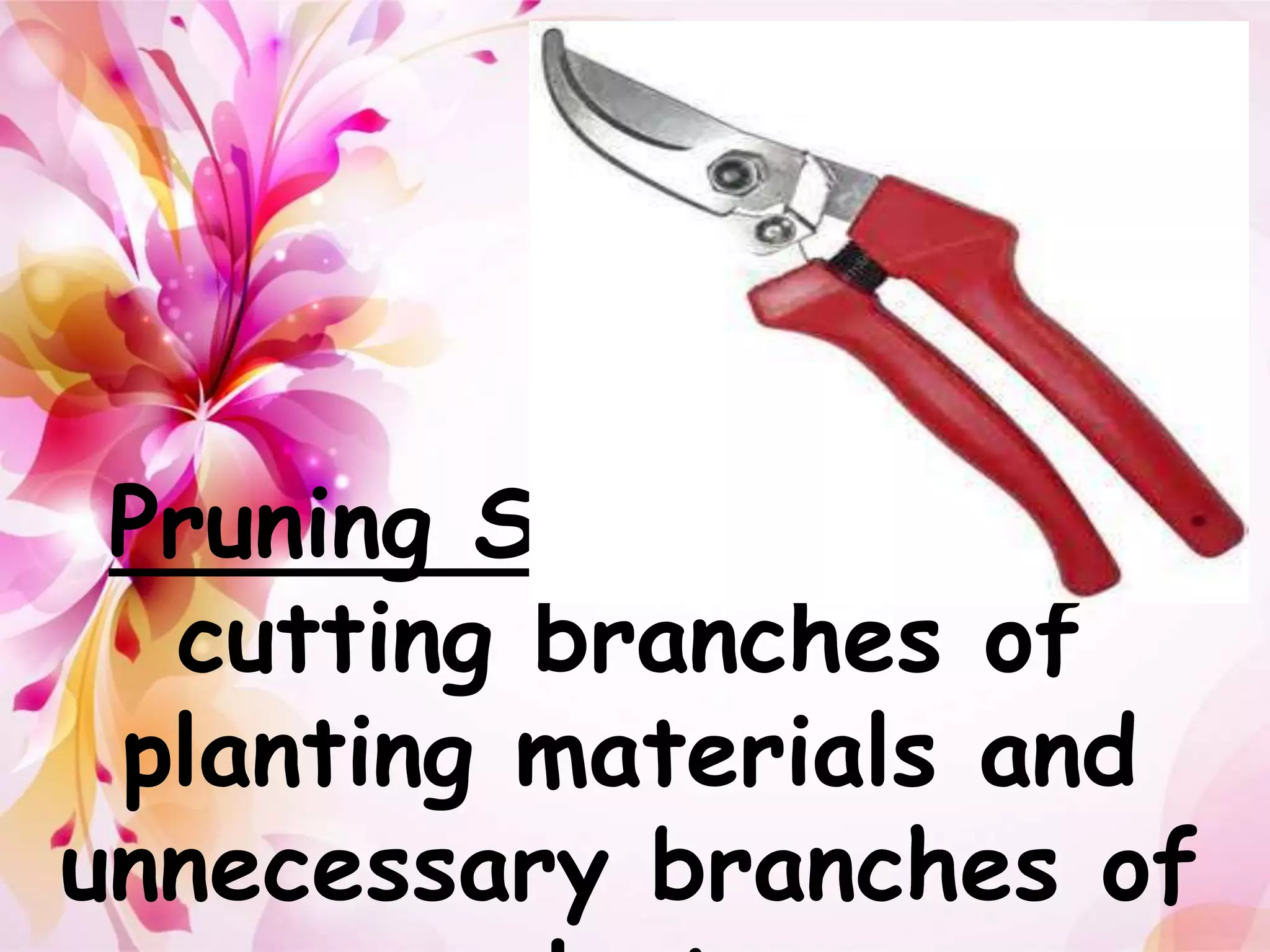 Pruning Shears- is for 
cutting branches of 
planting materials and 
unnecessary branches of 
plants 
 