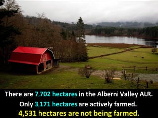 There are 7,702 hectares in the Alberni Valley ALR.
Only 3,171 hectares are actively farmed.
4,531 hectares are not being farmed.
 