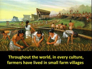 Using small-scale intensive organic horticulture,
farmers can earn to earn up to $25,000 an acre,
grossing up to $80,000 a year
of profit per small farm.
 