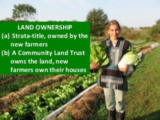 LAND OWNERSHIP
(a) Strata-title, owned by the
new farmers
(b) A Community Land Trust
owns the land, new
farmers own their houses
 
