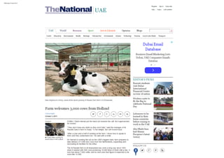 Farm welcomes 3,000 cows from holland   the national