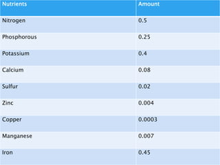 Nutrients Amount
Nitrogen 0.5
Phosphorous 0.25
Potassium 0.4
Calcium 0.08
Sulfur 0.02
Zinc 0.004
Copper 0.0003
Manganese 0.007
Iron 0.45
 
