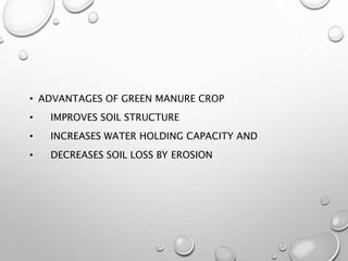 • ADVANTAGES OF GREEN MANURE CROP
• IMPROVES SOIL STRUCTURE
• INCREASES WATER HOLDING CAPACITY AND
• DECREASES SOIL LOSS BY EROSION
 
