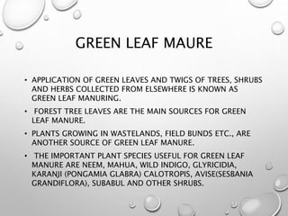 GREEN LEAF MAURE
• APPLICATION OF GREEN LEAVES AND TWIGS OF TREES, SHRUBS
AND HERBS COLLECTED FROM ELSEWHERE IS KNOWN AS
GREEN LEAF MANURING.
• FOREST TREE LEAVES ARE THE MAIN SOURCES FOR GREEN
LEAF MANURE.
• PLANTS GROWING IN WASTELANDS, FIELD BUNDS ETC., ARE
ANOTHER SOURCE OF GREEN LEAF MANURE.
• THE IMPORTANT PLANT SPECIES USEFUL FOR GREEN LEAF
MANURE ARE NEEM, MAHUA, WILD INDIGO, GLYRICIDIA,
KARANJI (PONGAMIA GLABRA) CALOTROPIS, AVISE(SESBANIA
GRANDIFLORA), SUBABUL AND OTHER SHRUBS.
 