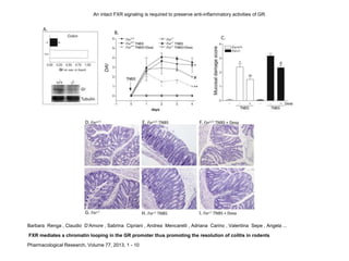 Farnesoid x receptor (fxr) and intestinal mucosa - Stefano Fiorucci | PPTX
