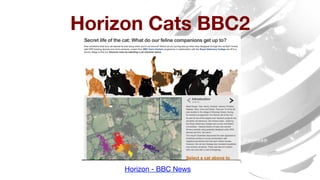Horizon Cats BBC2 
Horizon - BBC News
 