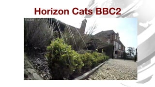 Horizon Cats BBC2 
 