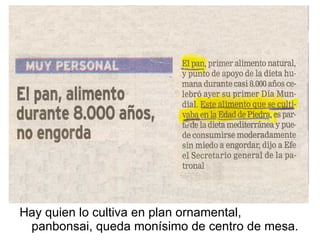 Hay quien lo cultiva en plan ornamental, panbonsai, queda monísimo de centro de mesa. 