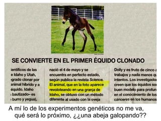 A mí lo de los experimentos genéticos no me va, qué será lo próximo, ¿¿una abeja galopando?? 