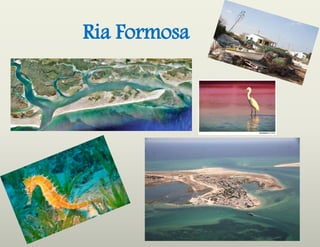 Ria Formosa