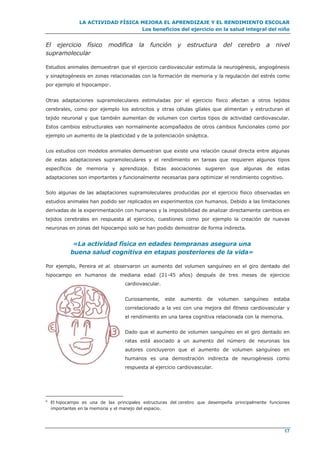 LA ACTIVIDAD FÍSICA MEJORA EL APRENDIZAJE Y EL RENDIMIENTO ESCOLAR
Los beneficios del ejercicio en la salud integral del niño
17
El ejercicio físico modifica la función y estructura del cerebro a nivel
supramolecular
Estudios animales demuestran que el ejercicio cardiovascular estimula la neurogénesis, angiogénesis
y sinaptogénesis en zonas relacionadas con la formación de memoria y la regulación del estrés como
por ejemplo el hipocampo6.
Otras adaptaciones supramoleculares estimuladas por el ejercicio físico afectan a otros tejidos
cerebrales, como por ejemplo los astrocitos y otras células glíales que alimentan y estructuran el
tejido neuronal y que también aumentan de volumen con ciertos tipos de actividad cardiovascular.
Estos cambios estructurales van normalmente acompañados de otros cambios funcionales como por
ejemplo un aumento de la plasticidad y de la potenciación sináptica.
Los estudios con modelos animales demuestran que existe una relación causal directa entre algunas
de estas adaptaciones supramoleculares y el rendimiento en tareas que requieren algunos tipos
específicos de memoria y aprendizaje. Estas asociaciones sugieren que algunas de estas
adaptaciones son importantes y funcionalmente necesarias para optimizar el rendimiento cognitivo.
Solo algunas de las adaptaciones supramoleculares producidas por el ejercicio físico observadas en
estudios animales han podido ser replicados en experimentos con humanos. Debido a las limitaciones
derivadas de la experimentación con humanos y la imposibilidad de analizar directamente cambios en
tejidos cerebrales en respuesta al ejercicio, cuestiones como por ejemplo la creación de nuevas
neuronas en zonas del hipocampo solo se han podido demostrar de forma indirecta.
«La actividad física en edades tempranas asegura una
buena salud cognitiva en etapas posteriores de la vida»
Por ejemplo, Pereira et al. observaron un aumento del volumen sanguíneo en el giro dentado del
hipocampo en humanos de mediana edad (21-45 años) después de tres meses de ejercicio
cardiovascular.
Curiosamente, este aumento de volumen sanguíneo estaba
correlacionado a la vez con una mejora del fitness cardiovascular y
el rendimiento en una tarea cognitiva relacionada con la memoria.
Dado que el aumento de volumen sanguíneo en el giro dentado en
ratas está asociado a un aumento del número de neuronas los
autores concluyeron que el aumento de volumen sanguíneo en
humanos es una demostración indirecta de neurogénesis como
respuesta al ejercicio cardiovascular.
6
El hipocampo es una de las principales estructuras del cerebro que desempeña principalmente funciones
importantes en la memoria y el manejo del espacio.
 