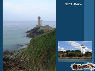 Petit Minou 