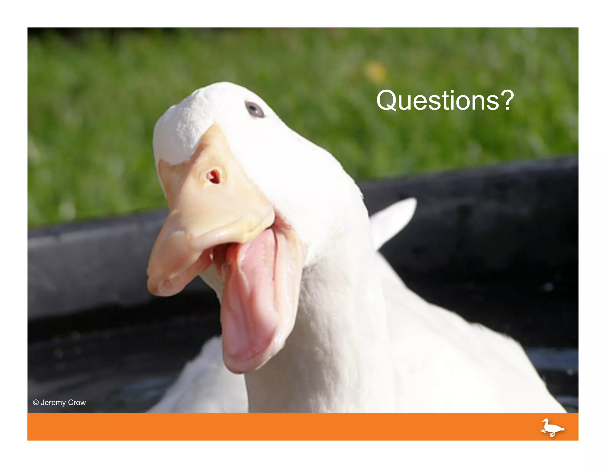 Questions?




© Jeremy Crow
 