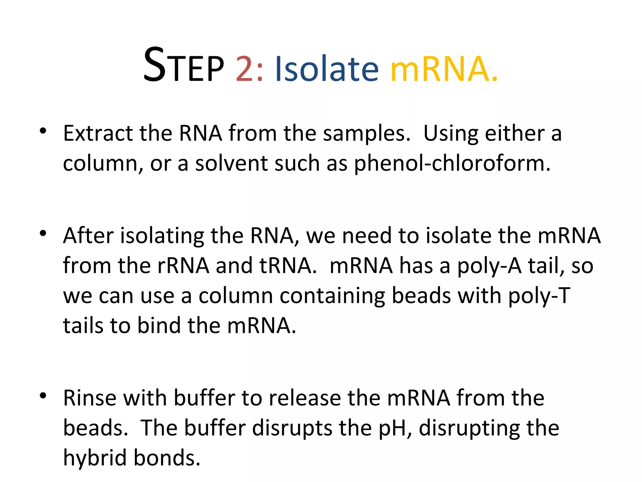 STEP 2: Isolate mRNA.
• Extract the RNA from the samples. Using either a
column, or a solvent such as phenol-chloroform.
• After isolating the RNA, we need to isolate the mRNA
from the rRNA and tRNA. mRNA has a poly-A tail, so
we can use a column containing beads with poly-T
tails to bind the mRNA.
• Rinse with buffer to release the mRNA from the
beads. The buffer disrupts the pH, disrupting the
hybrid bonds.
 