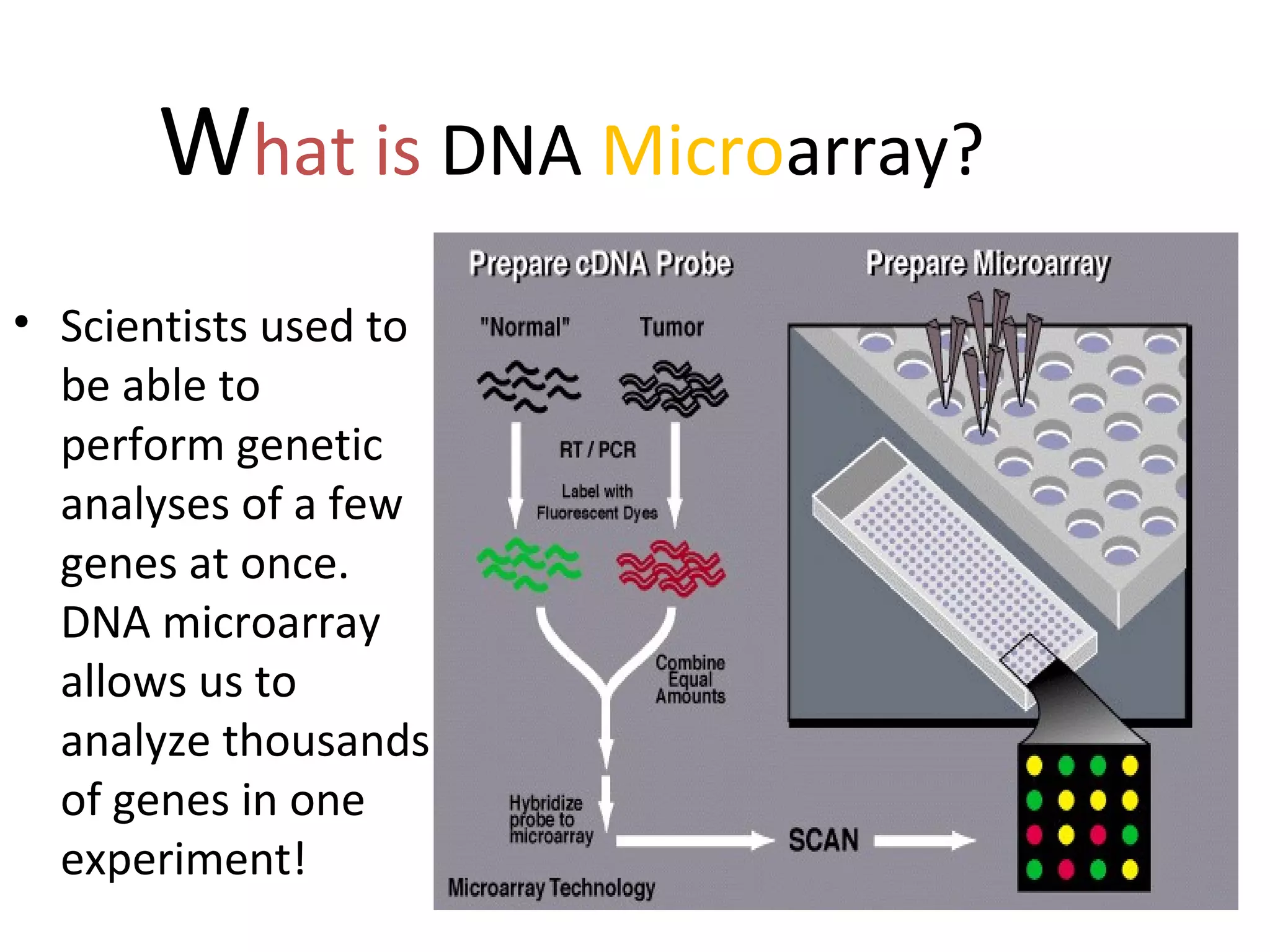 What is DNA Microarray?
• Scientists used to
be able to
perform genetic
analyses of a few
genes at once.
DNA microarray
allows us to
analyze thousands
of genes in one
experiment!
 