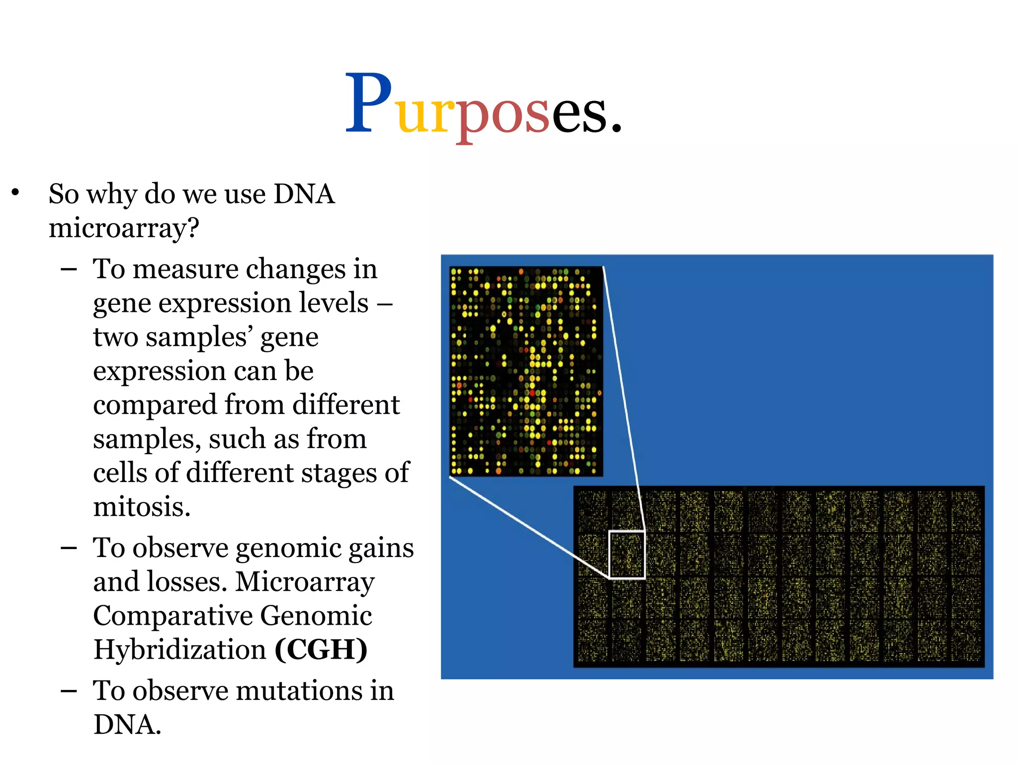 Purposes.
• So why do we use DNA
microarray?
– To measure changes in
gene expression levels –
two samples’ gene
expression can be
compared from different
samples, such as from
cells of different stages of
mitosis.
– To observe genomic gains
and losses. Microarray
Comparative Genomic
Hybridization (CGH)
– To observe mutations in
DNA.
 