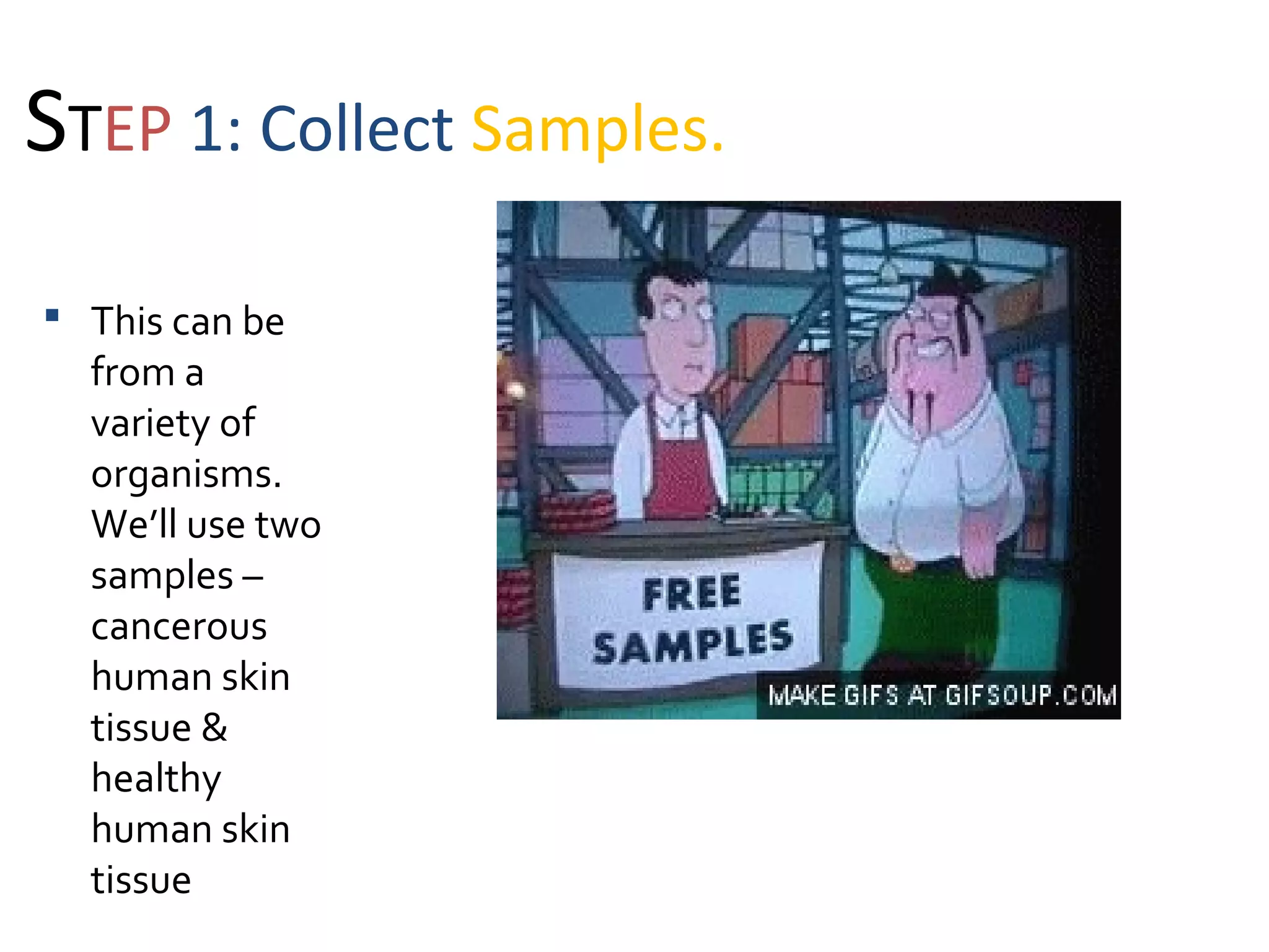 STEP 1: Collect Samples.
 This can be
from a
variety of
organisms.
We’ll use two
samples –
cancerous
human skin
tissue &
healthy
human skin
tissue
 